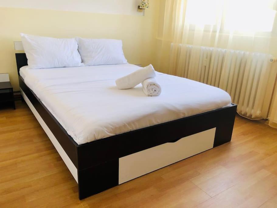 Joy City Stay Lucaciu 16 Timisoara Exterior foto